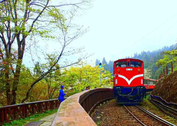 Alishan-Berge: Tipps für einen Ausflug in die Hochlandregion