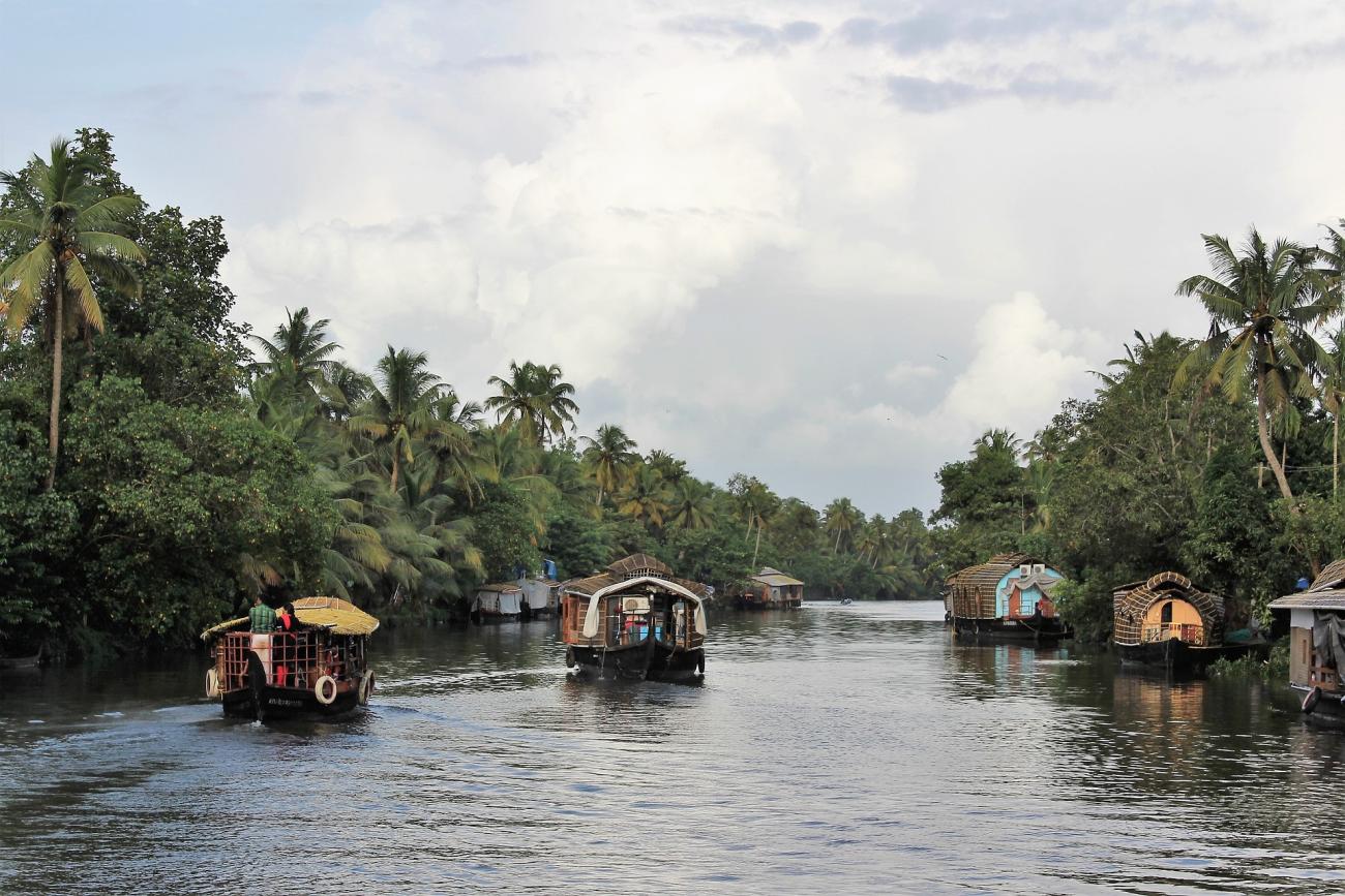 Die spannendsten Aktivitäten in Kerala für Naturliebhaber