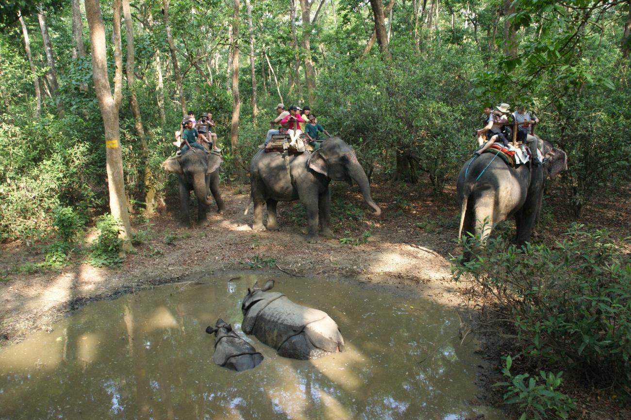 Nepal: Die spannendsten Erlebnisse im Chitwan-Nationalpark