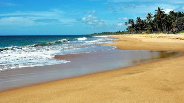 Sri Lankas Strände: Von versteckten Buchten bis zu Surferparadiesen