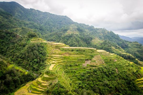 Banaue-Reisterrassen: Das grüne Wunder der Ifugao