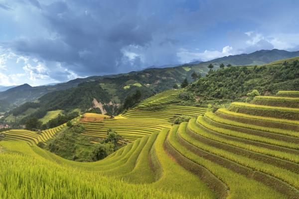 Vietnams Reisterrassen: Fotogene Landschaften in Sapa und Mu Cang Chai