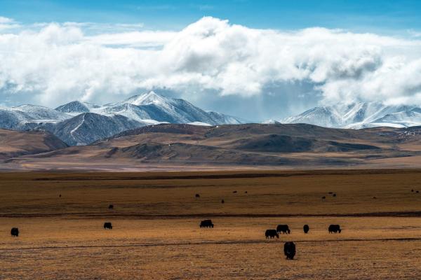 Das wilde Herz Chinas: Durch Xinjiangs Wüsten und Bergwelten