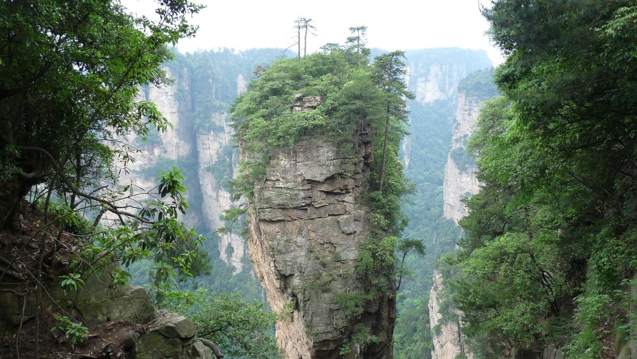 Zhangjiajie: Den Avatar-Wald Chinas live erleben