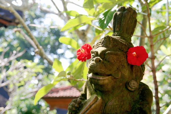 Ubud und Umgebung: Das spirituelle Zentrum Balis